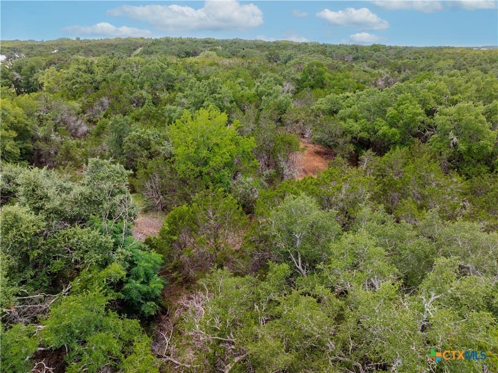 5.25 acres in Williamson County - photo 11