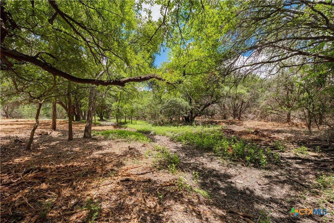 5.25 acres in Williamson County - photo 5