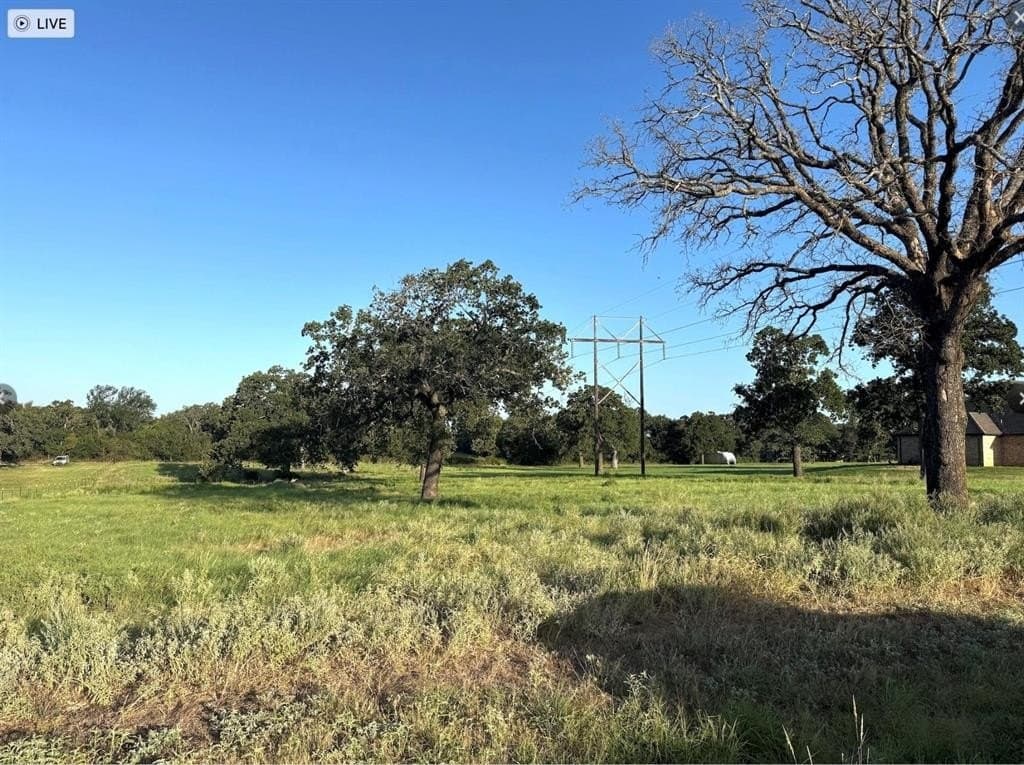 2 acres in Parker County - photo 2