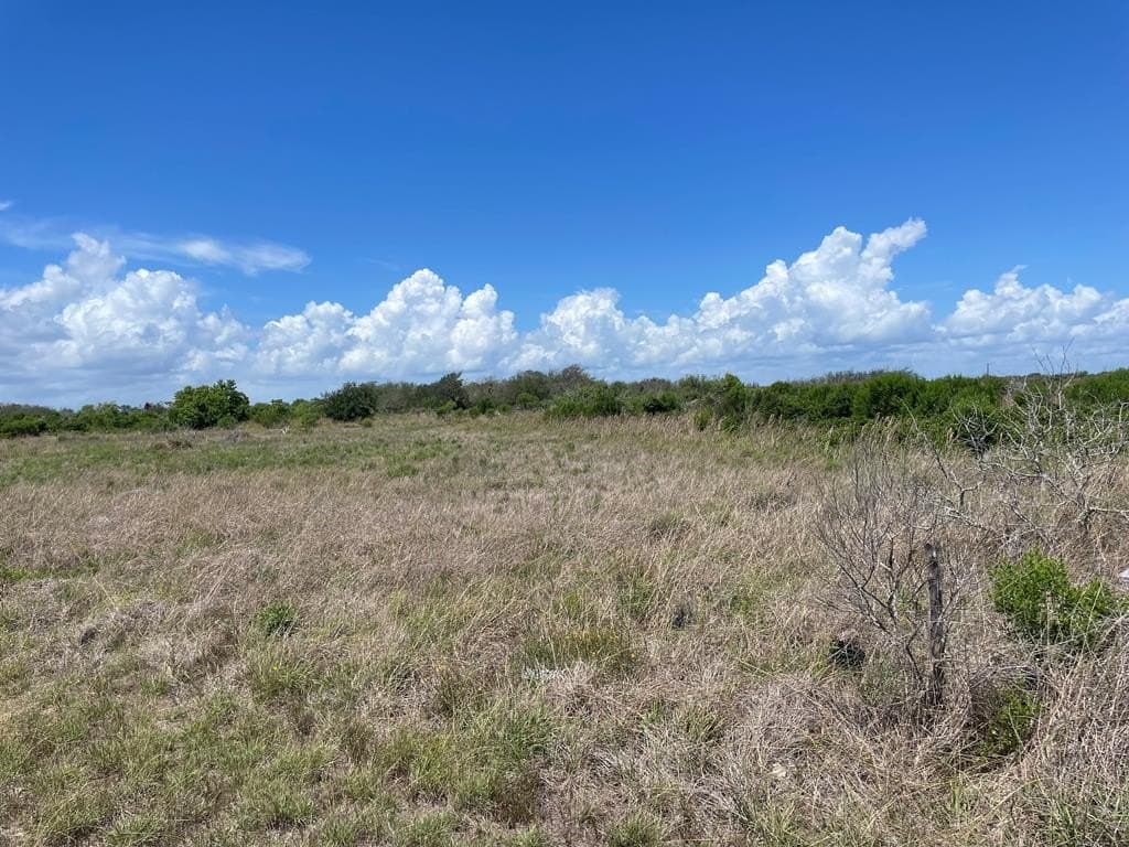 10.51 acres in Texas County - photo 7