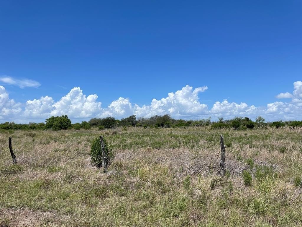10.51 acres in Texas County - photo 8