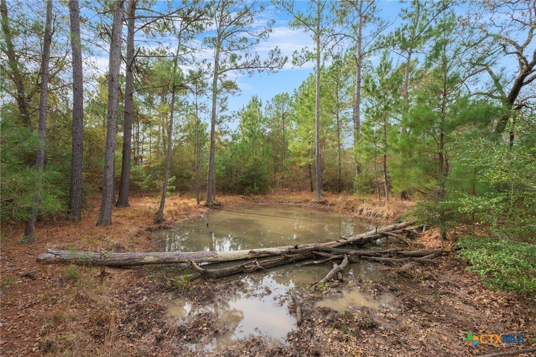 78.42 acres in Walker County - photo 25