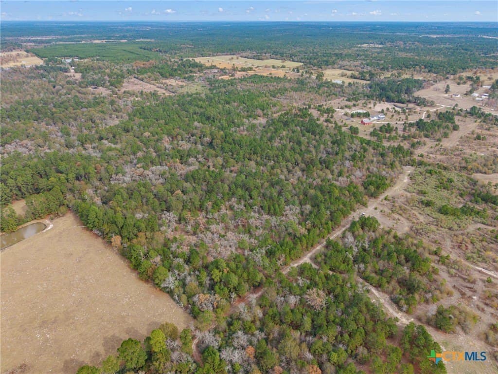 78.42 acres in Walker County - photo 6