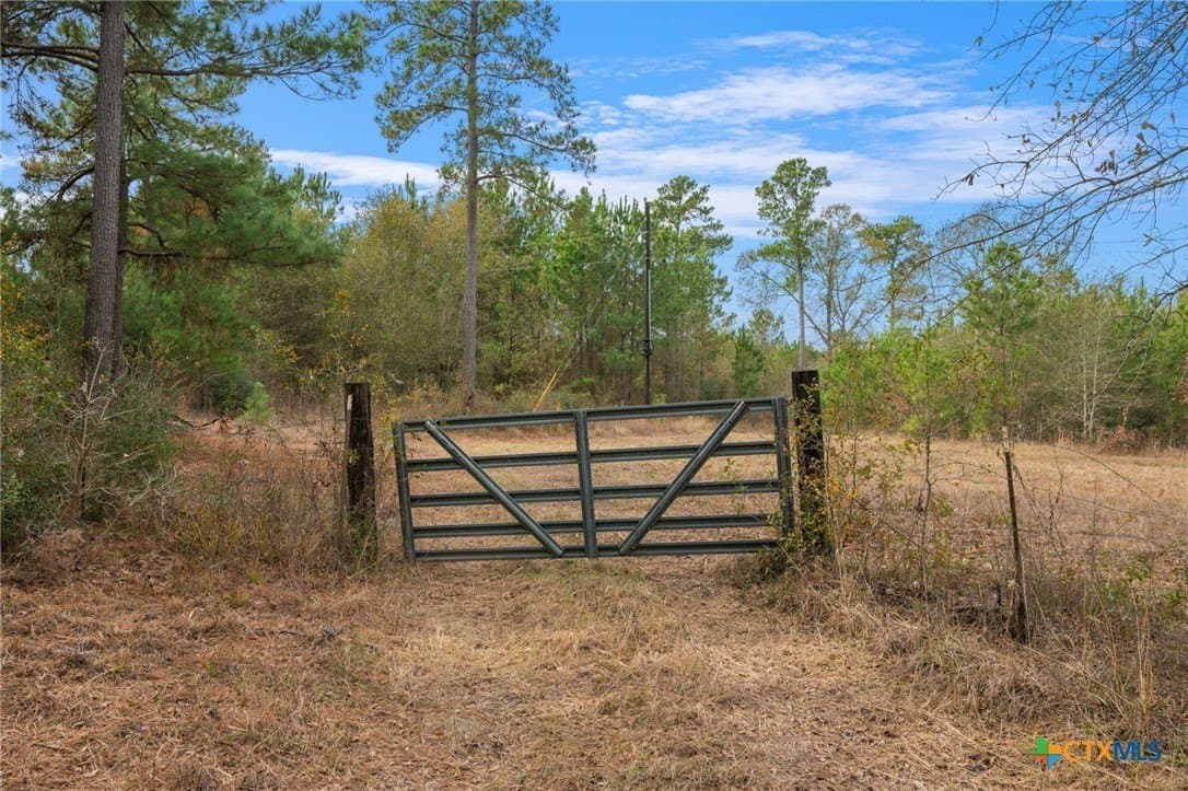 78.42 acres in Walker County - photo 14