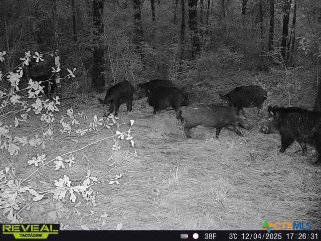78.42 acres in Walker County - photo 45