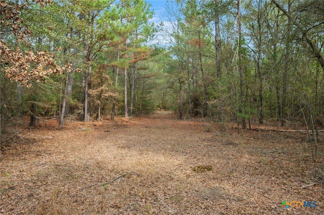 78.42 acres in Walker County - photo 31