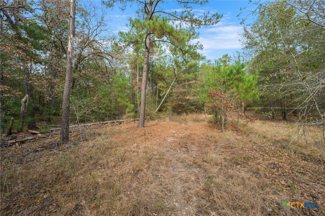 78.42 acres in Walker County - photo 28