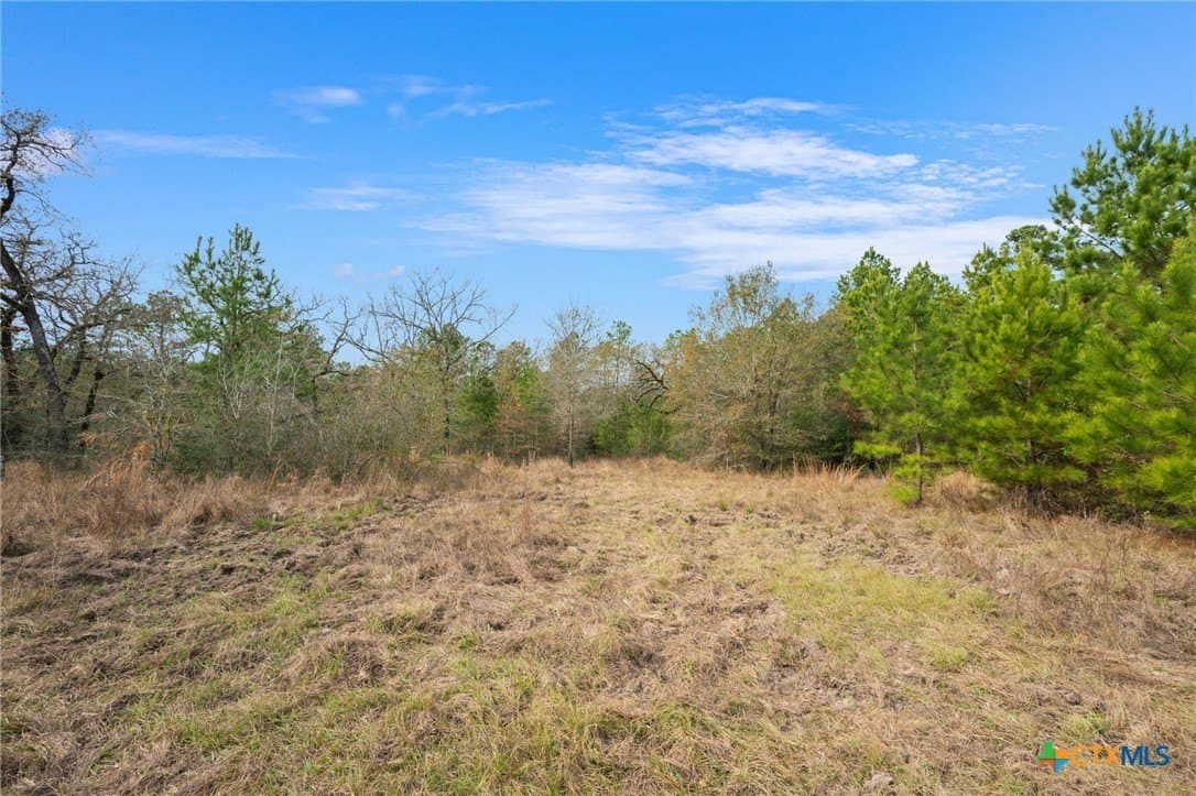 78.42 acres in Walker County - photo 27