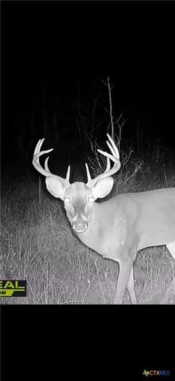 78.42 acres in Walker County - photo 44