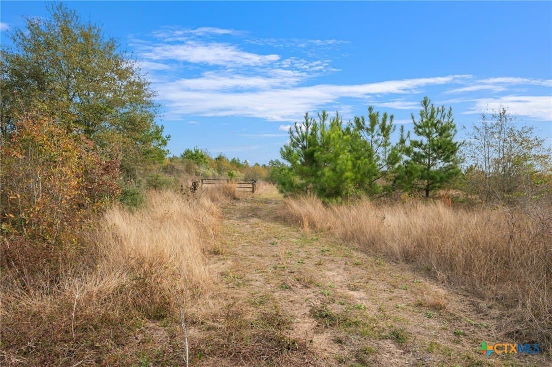 78.42 acres in Walker County - photo 32