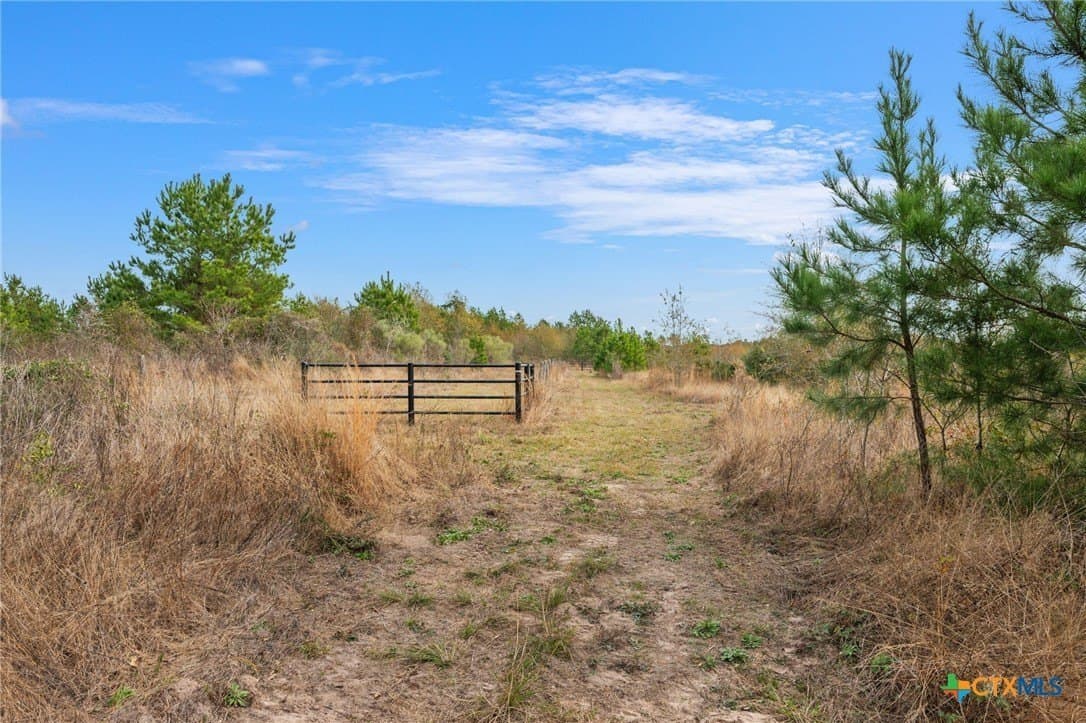 78.42 acres in Walker County - photo 33