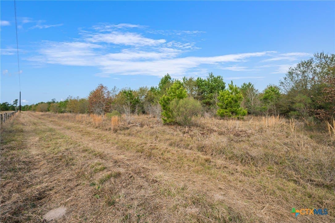 78.42 acres in Walker County - photo 19