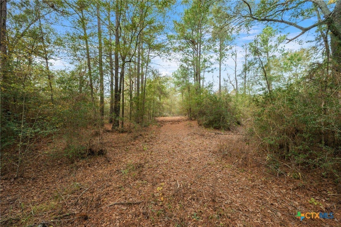 78.42 acres in Walker County - photo 39