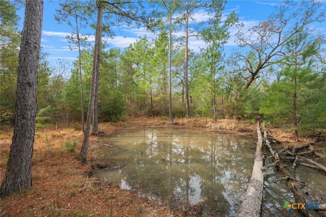 78.42 acres in Walker County - photo 26