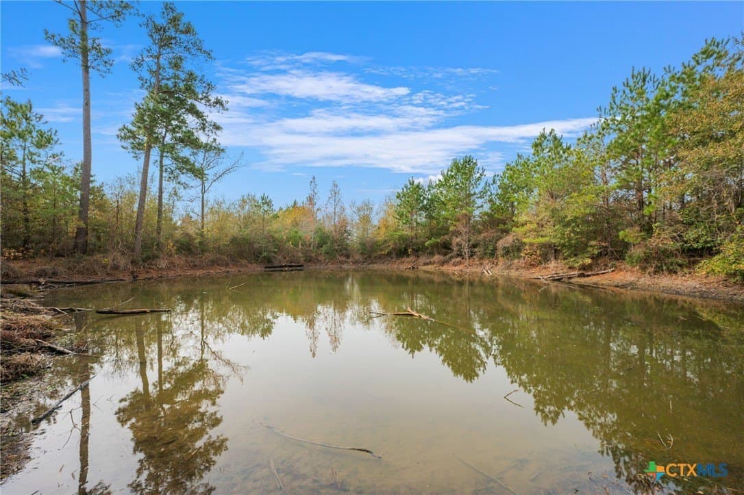 78.42 acres in Walker County - photo 16
