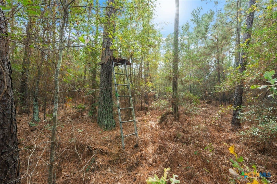 78.42 acres in Walker County - photo 42
