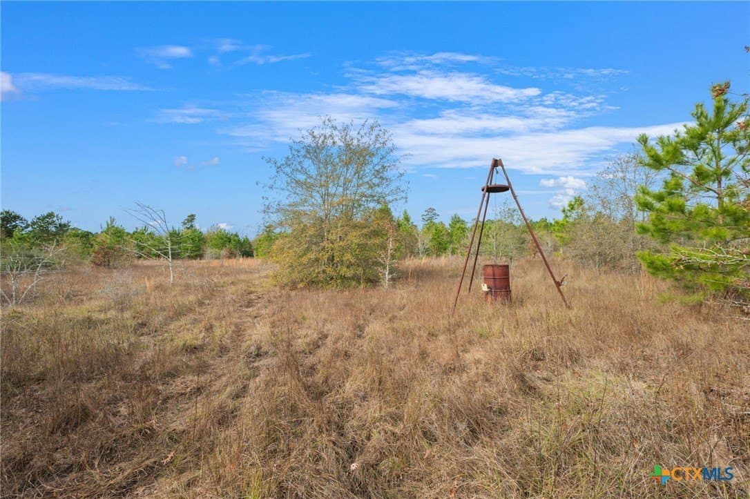 78.42 acres in Walker County - photo 20