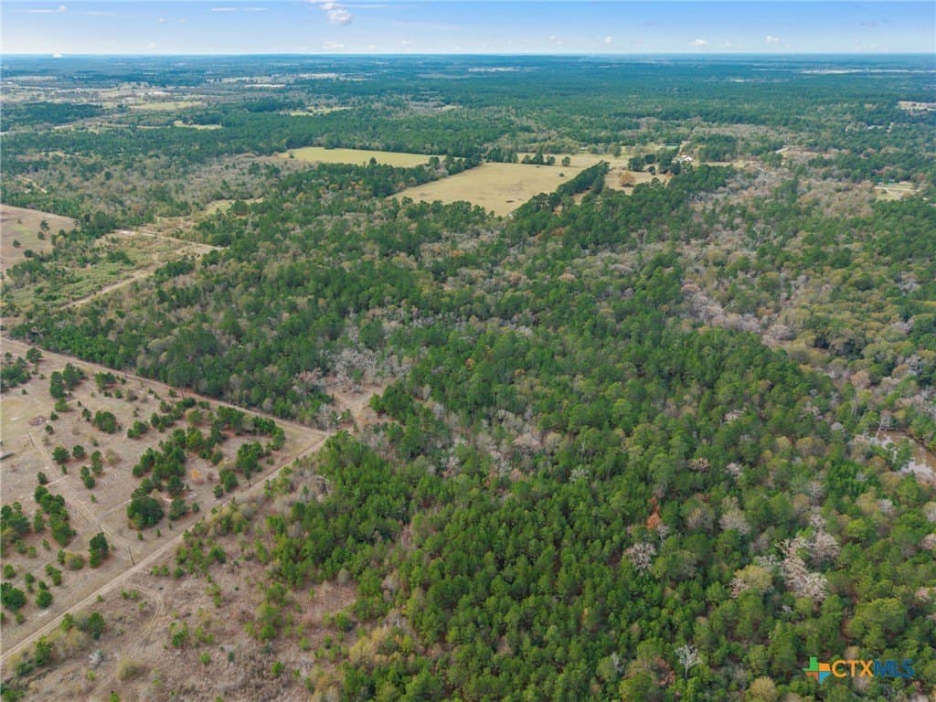 78.42 acres in Walker County - photo 3