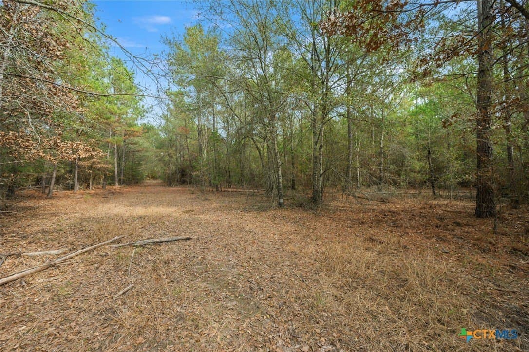 78.42 acres in Walker County - photo 30