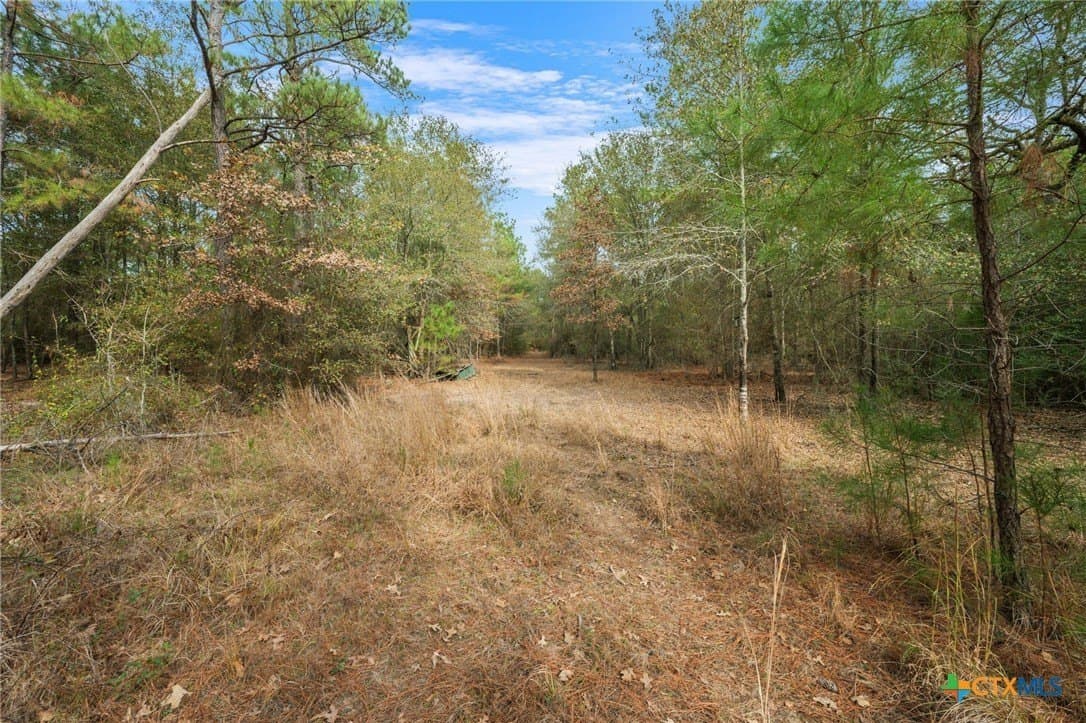 78.42 acres in Walker County - photo 29
