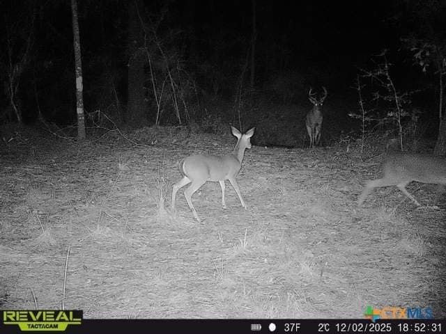 78.42 acres in Walker County - photo 47