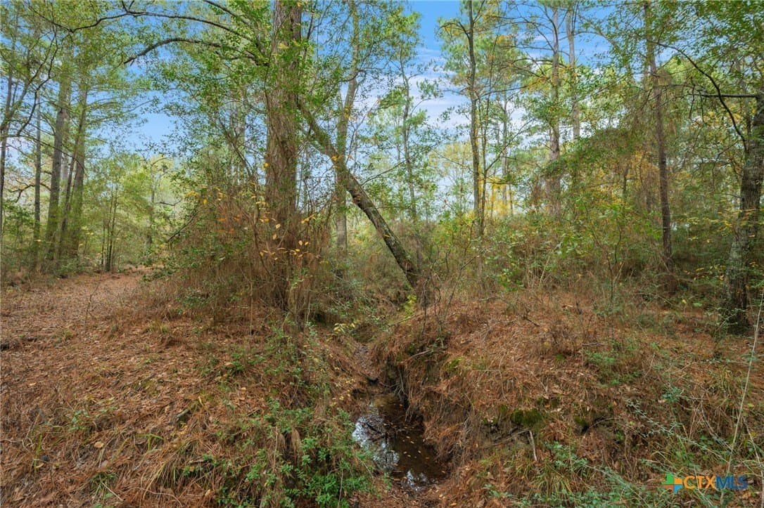 78.42 acres in Walker County - photo 37