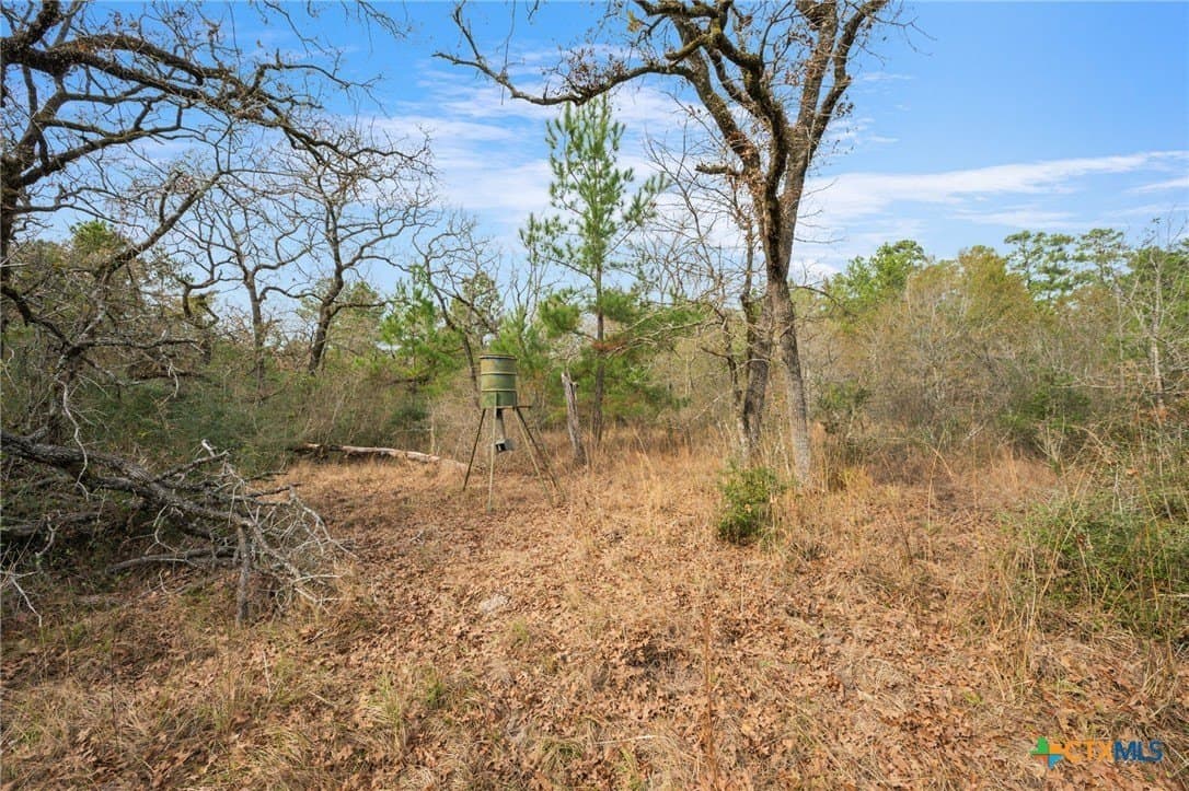 78.42 acres in Walker County - photo 24