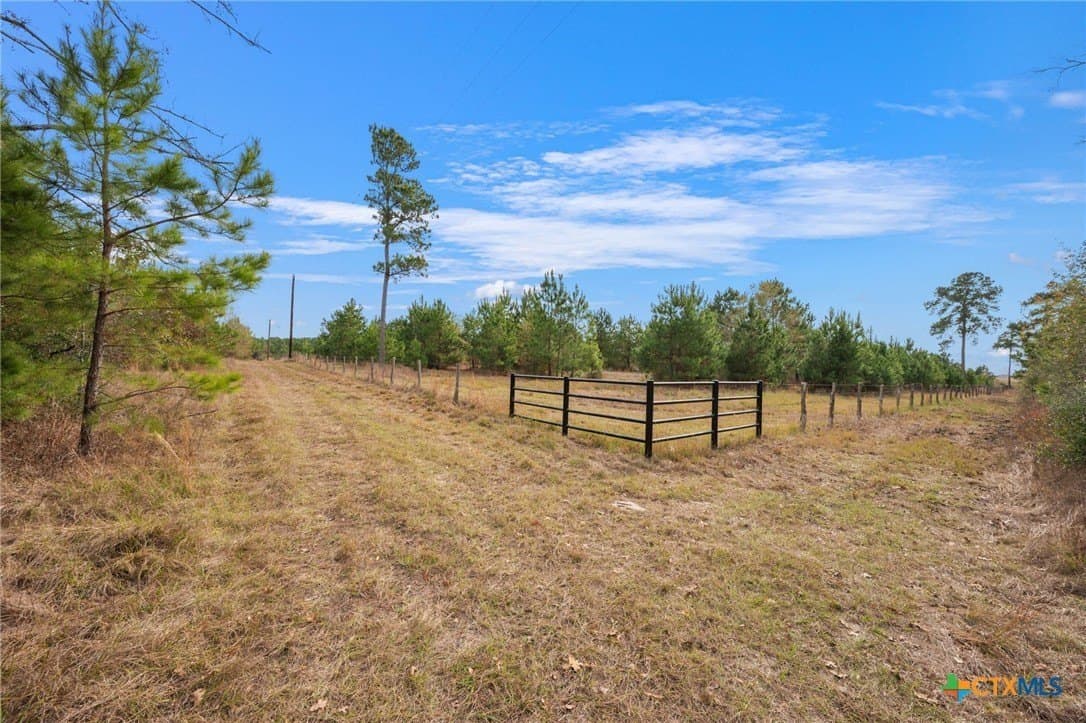 78.42 acres in Walker County - photo 21