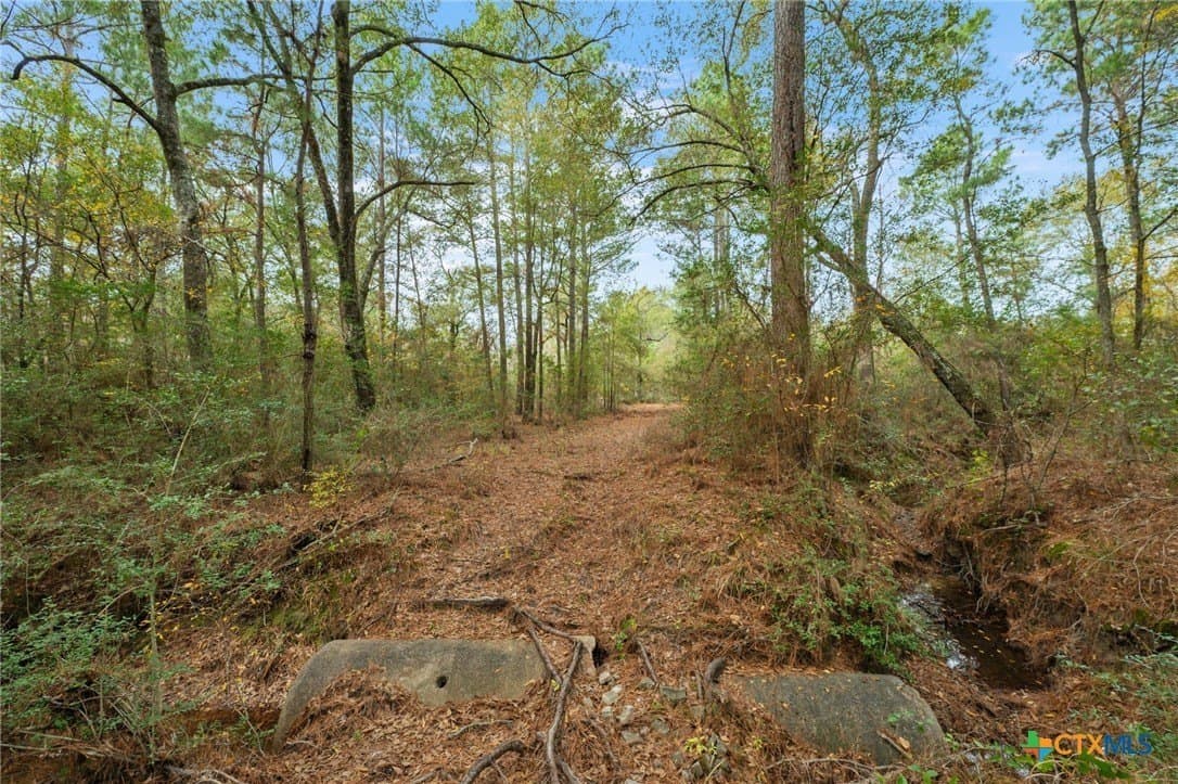 78.42 acres in Walker County - photo 36