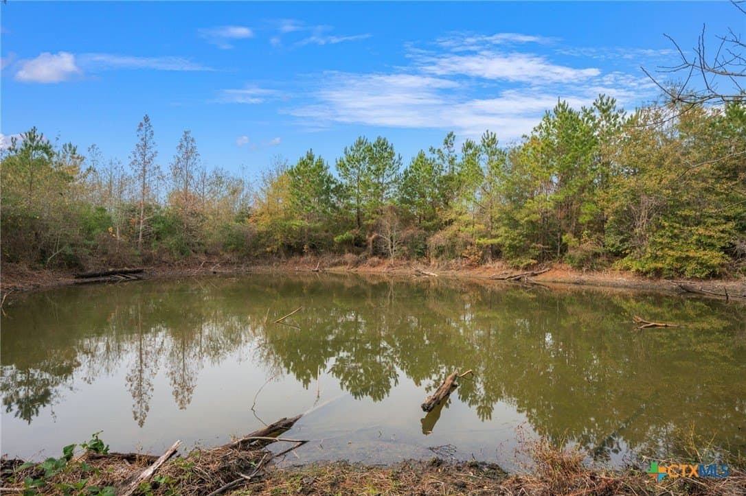 78.42 acres in Walker County - photo 15