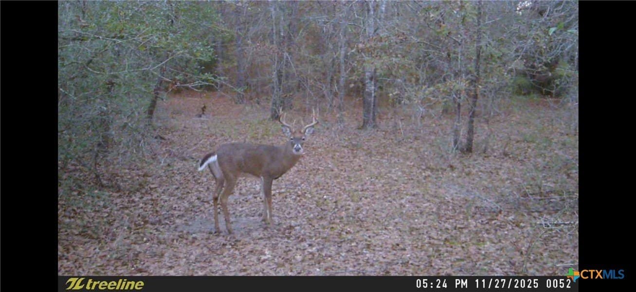 78.42 acres in Walker County - photo 46