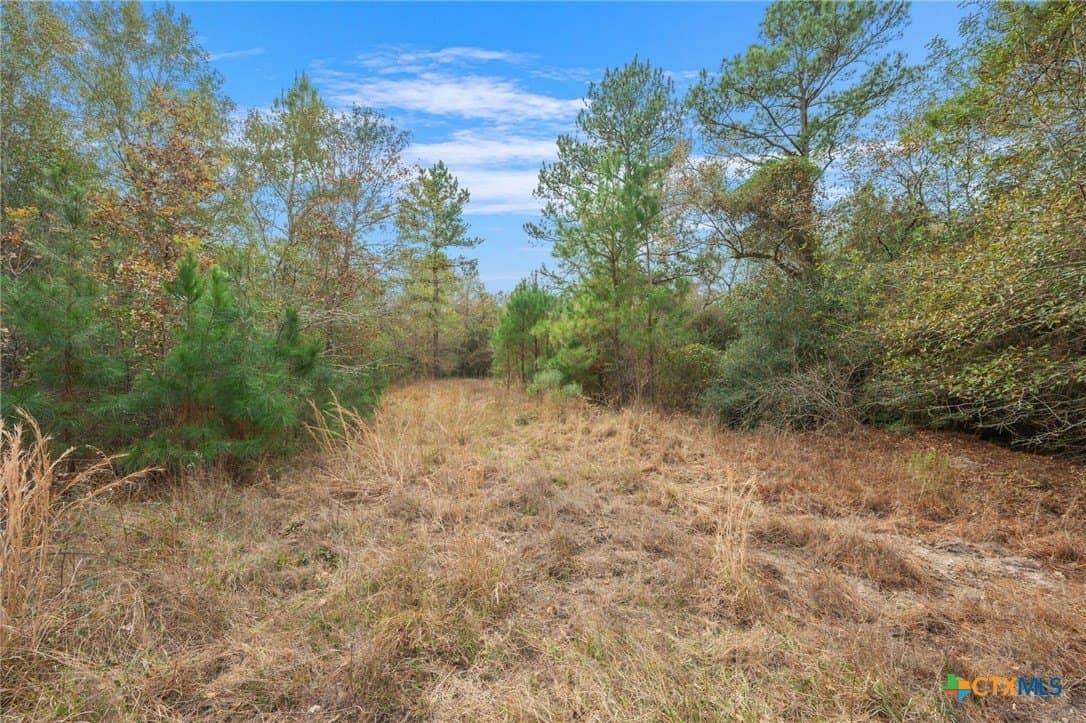 78.42 acres in Walker County - photo 41