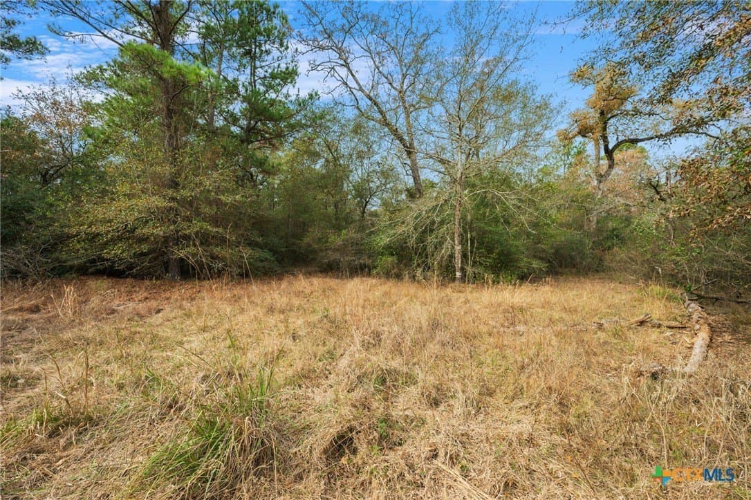 78.42 acres in Walker County - photo 40