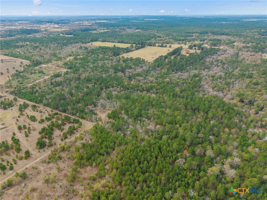 78.42 acres in Walker County - photo 4