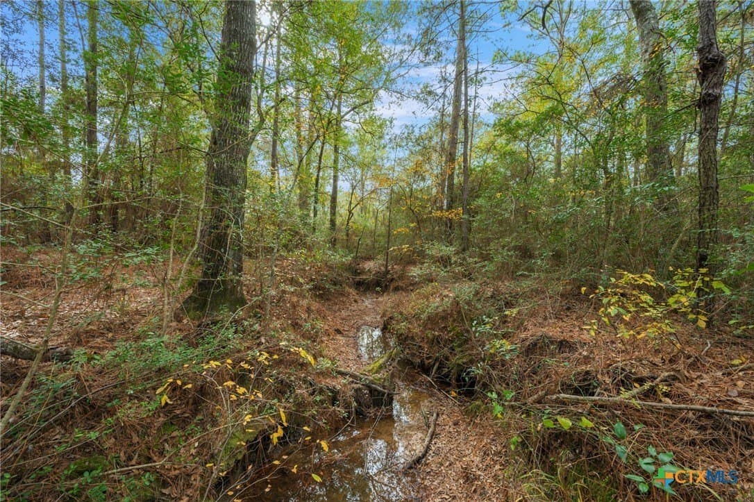 78.42 acres in Walker County - photo 38