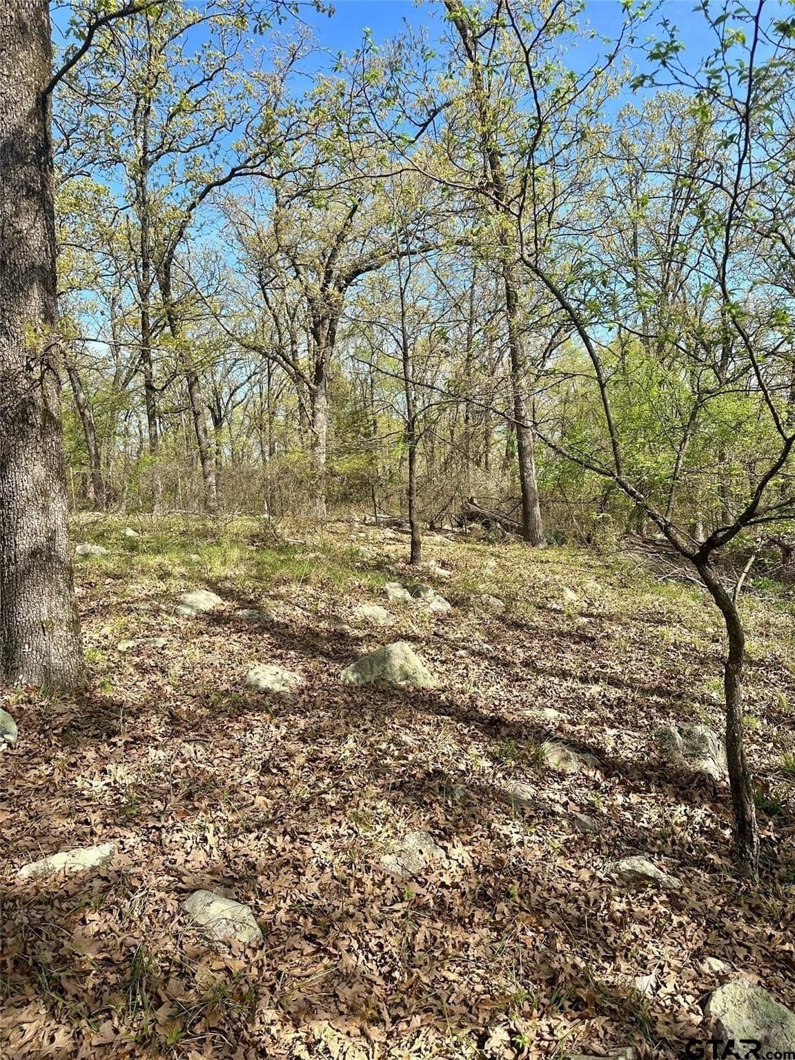 2.44 acres in Hopkins County - photo 8