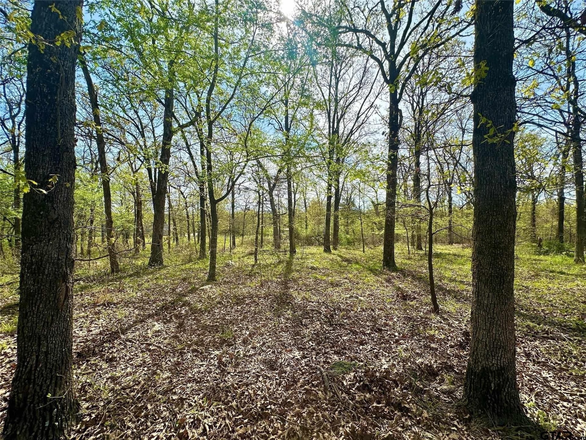 2.44 acres in Hopkins County - photo 13