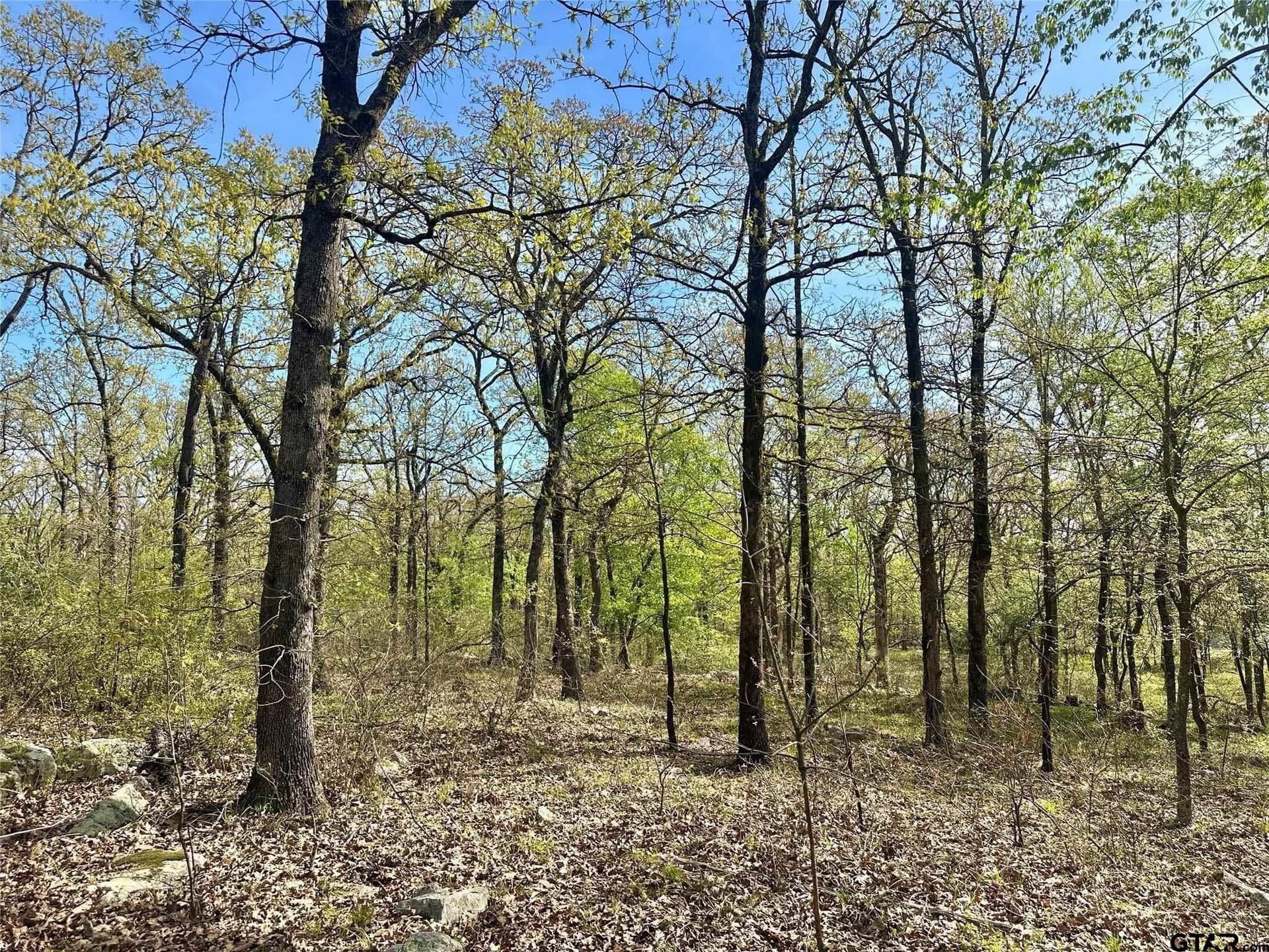 2.44 acres in Hopkins County - photo 10