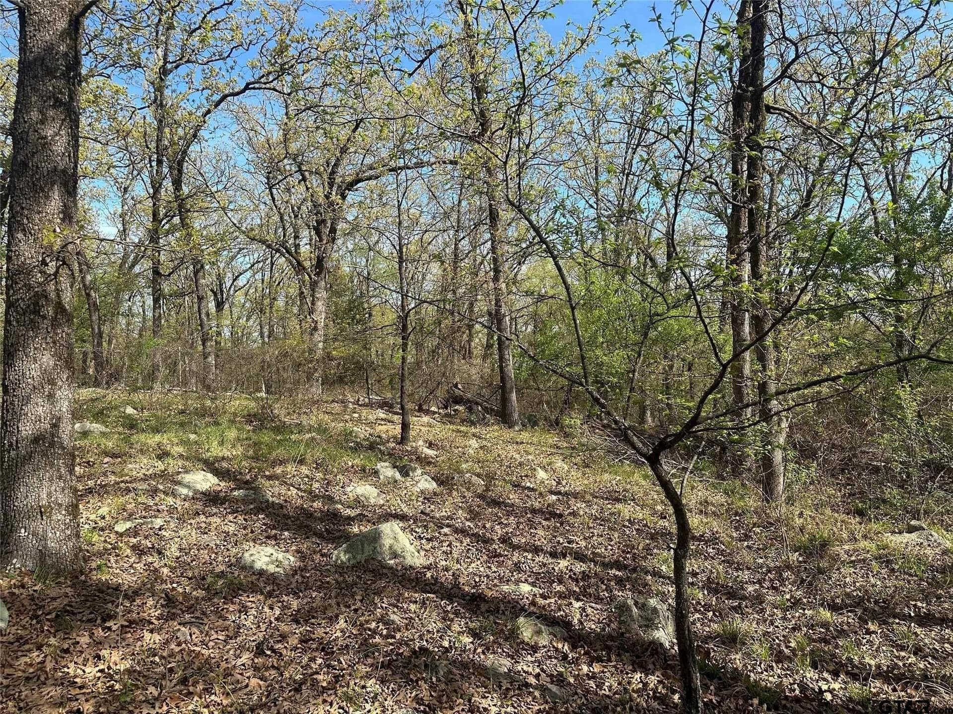 2.44 acres in Hopkins County - photo 9