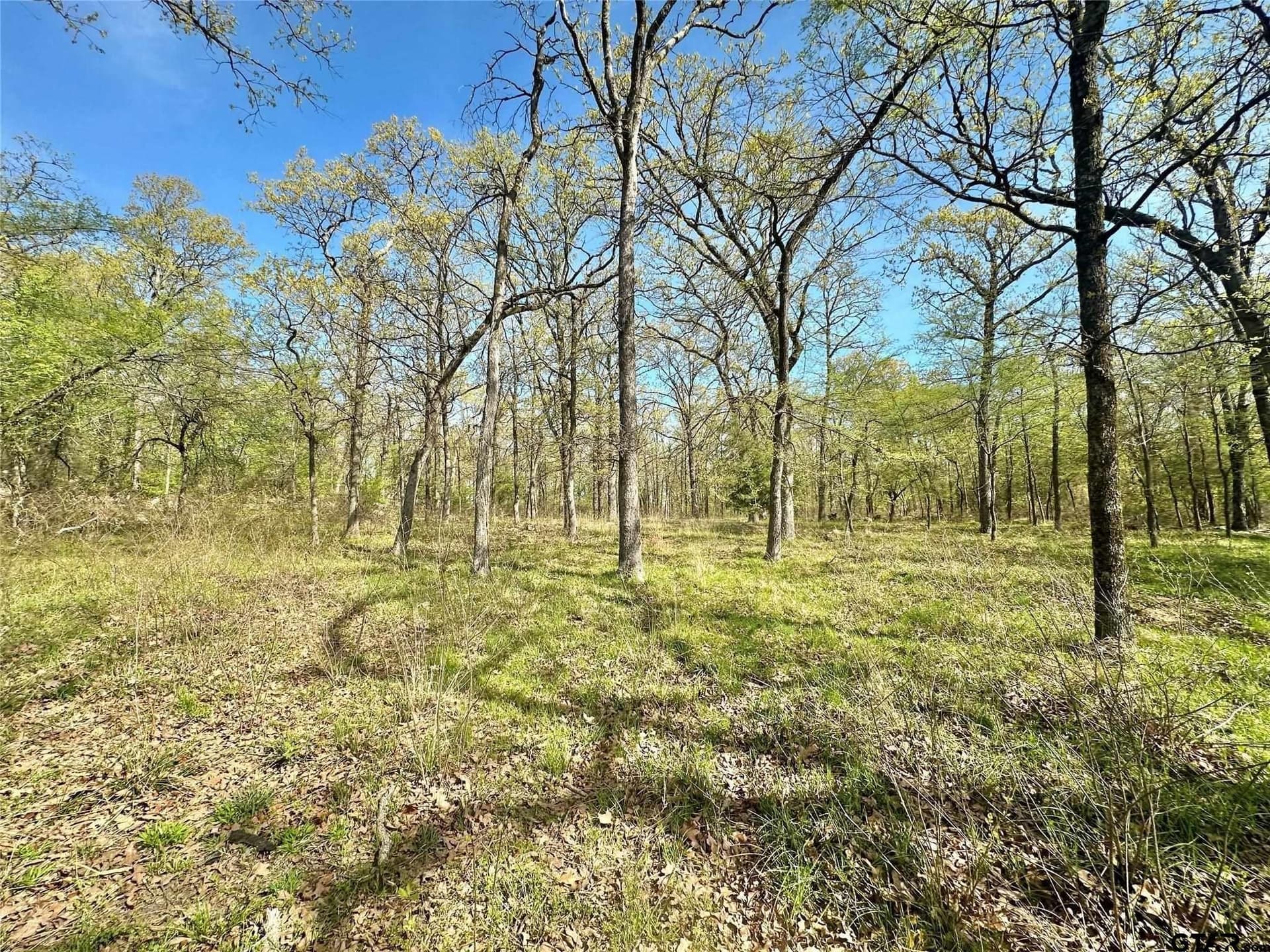 2.44 acres in Hopkins County - photo 5