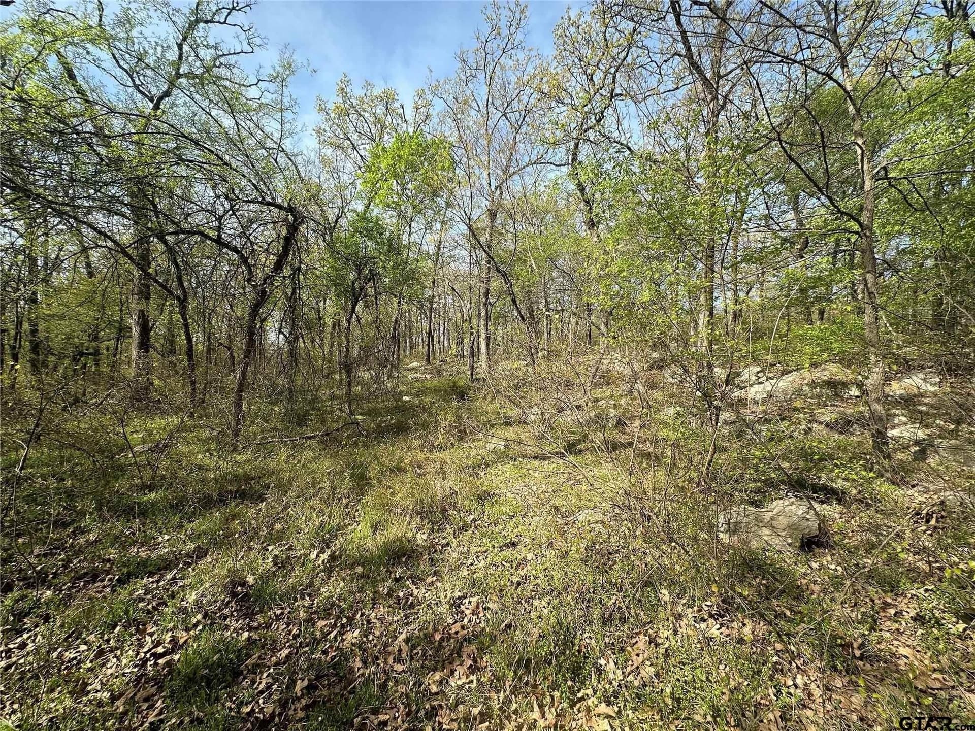 2.44 acres in Hopkins County - photo 6