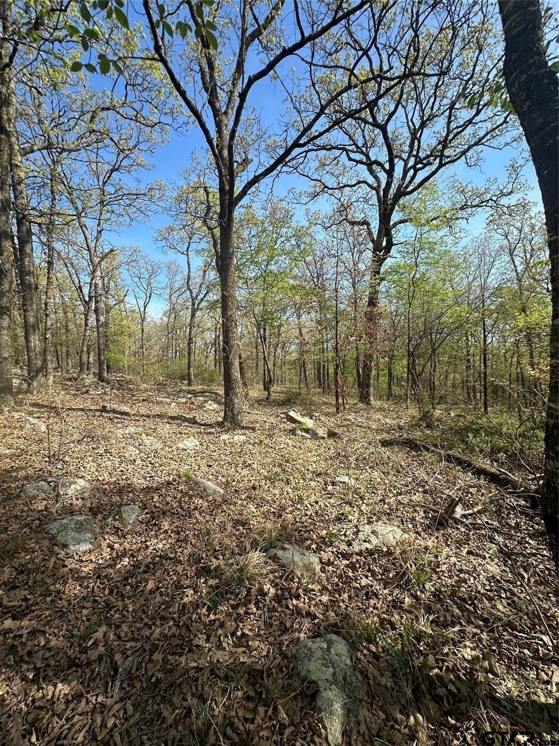 2.44 acres in Hopkins County - photo 17