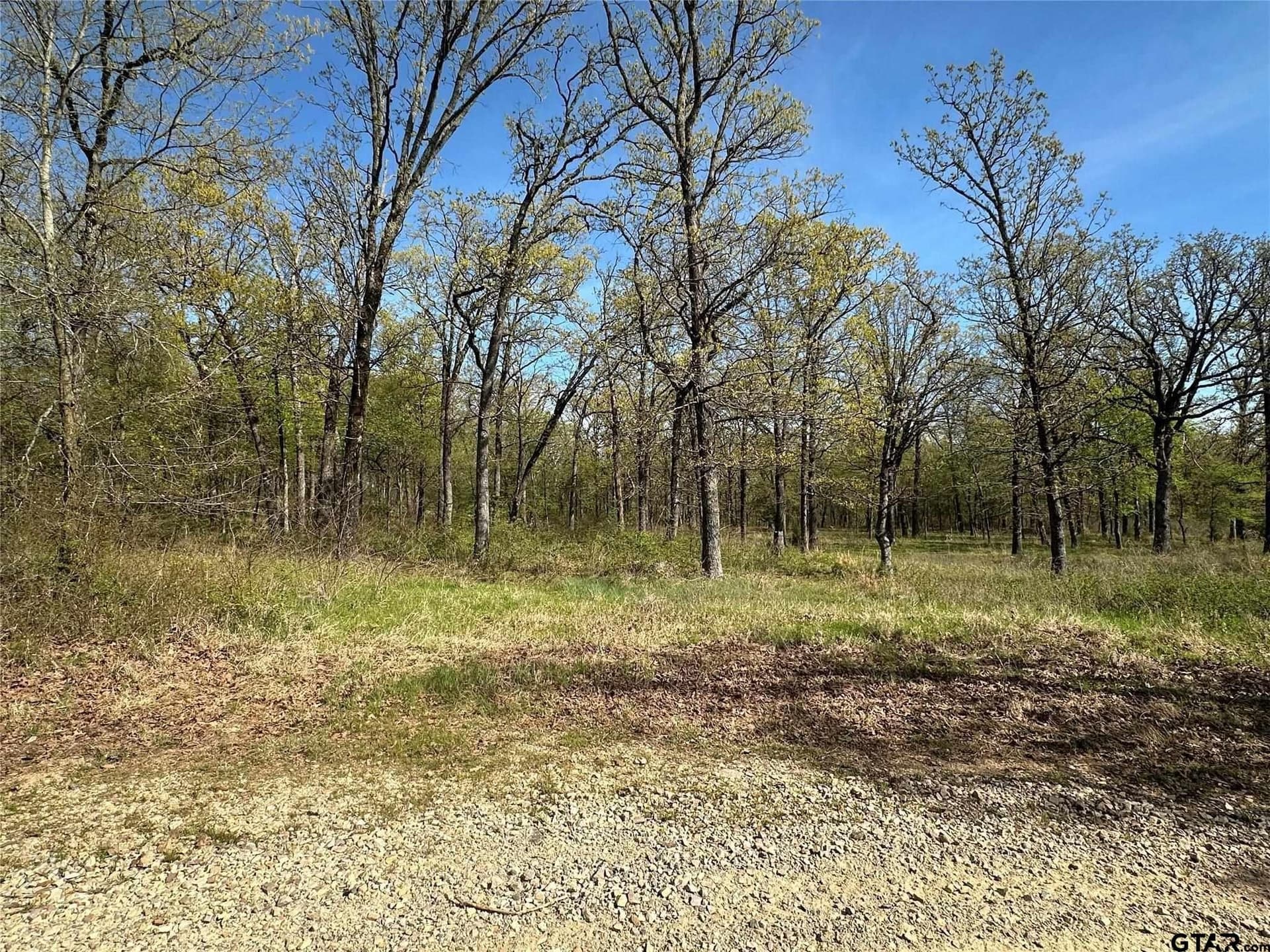 2.44 acres in Hopkins County - photo 3