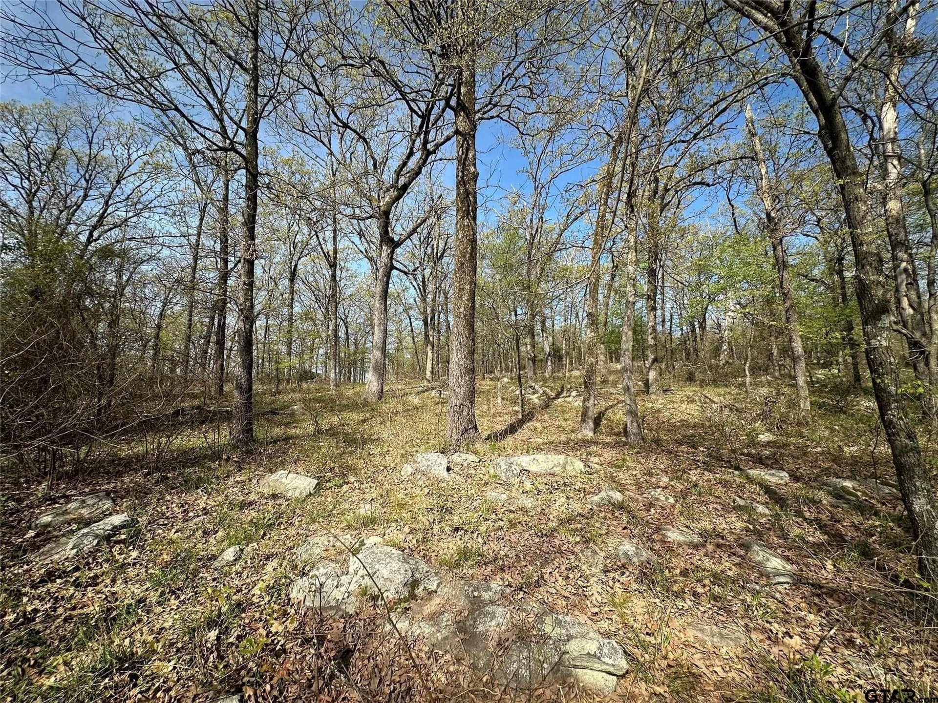 2.44 acres in Hopkins County - photo 2