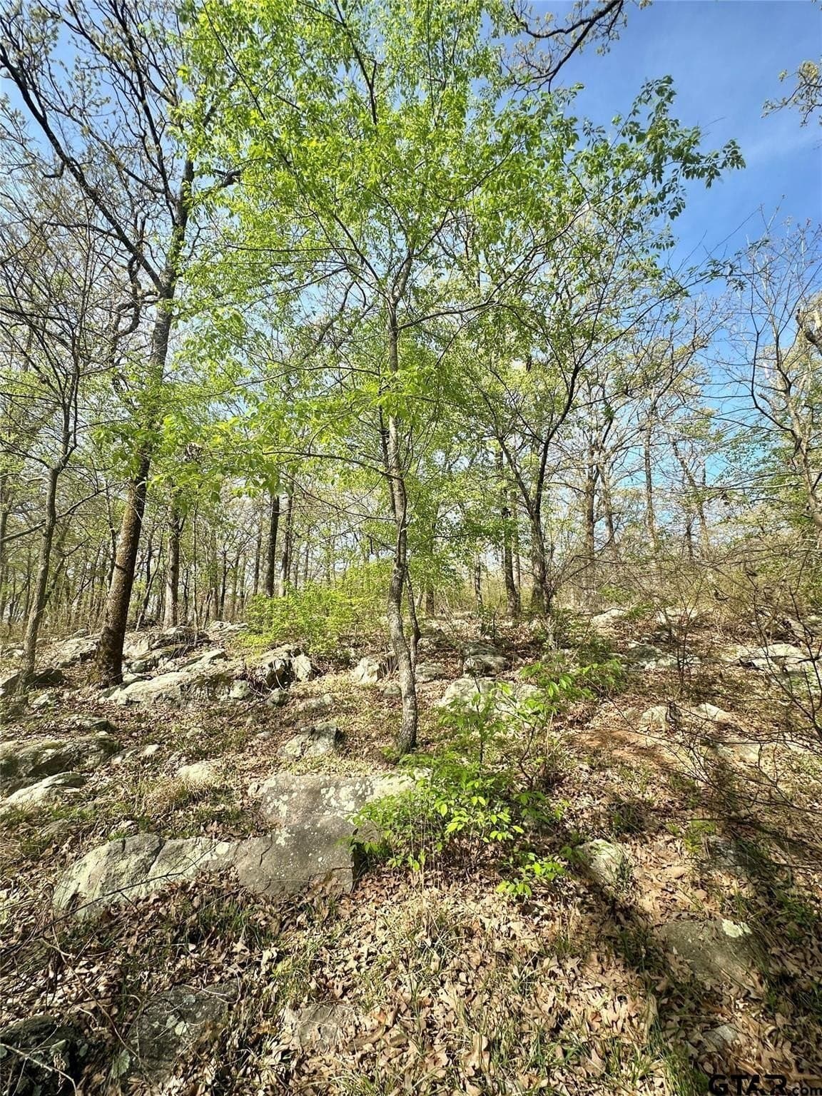 2.44 acres in Hopkins County - photo 7
