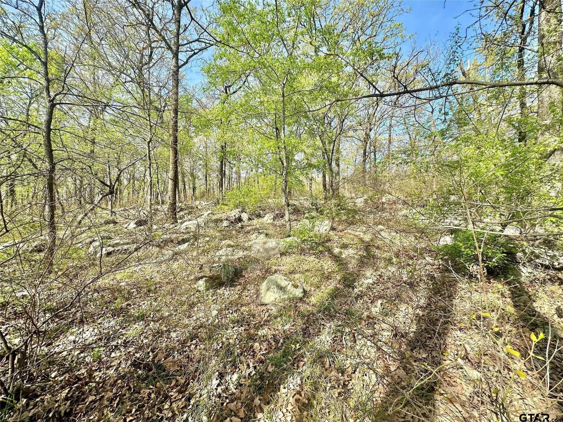 2.44 acres in Hopkins County - photo 4