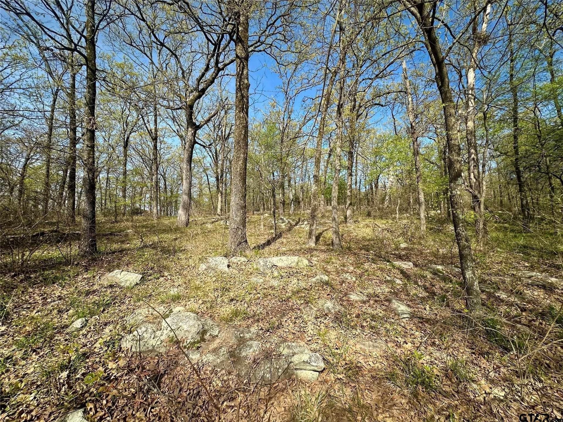 2.44 acres in Hopkins County - photo 14