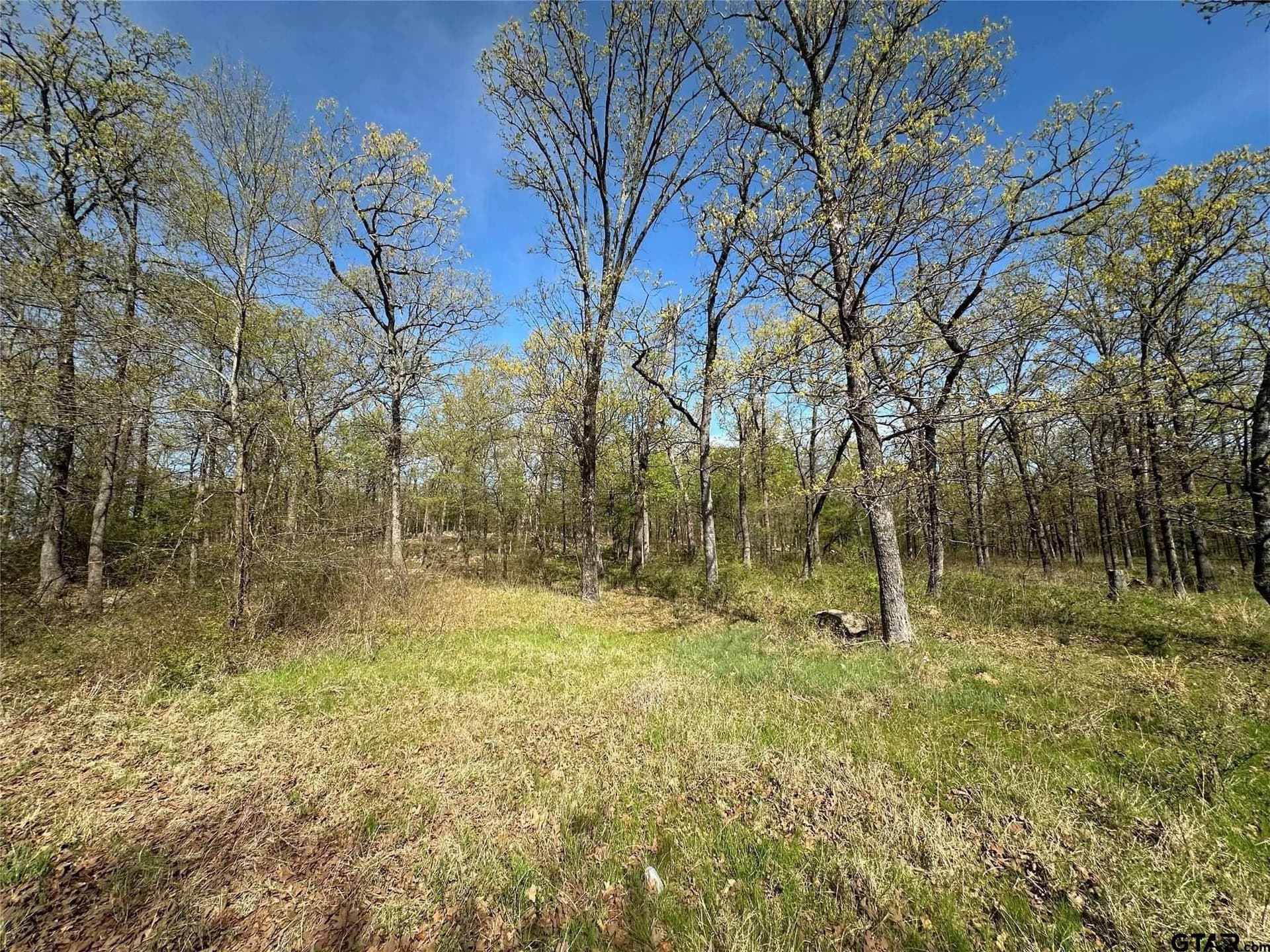 2.44 acres in Hopkins County - photo 16