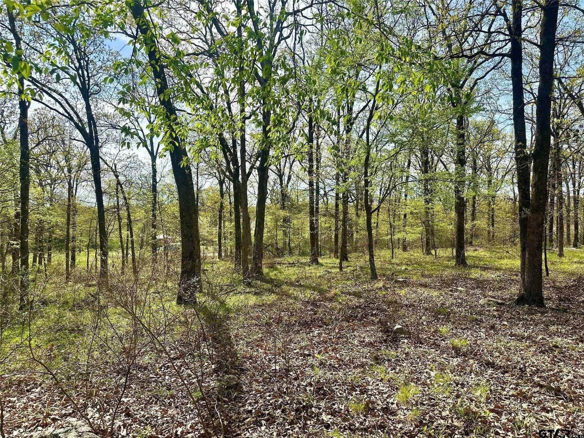 2.44 acres in Hopkins County - photo 11