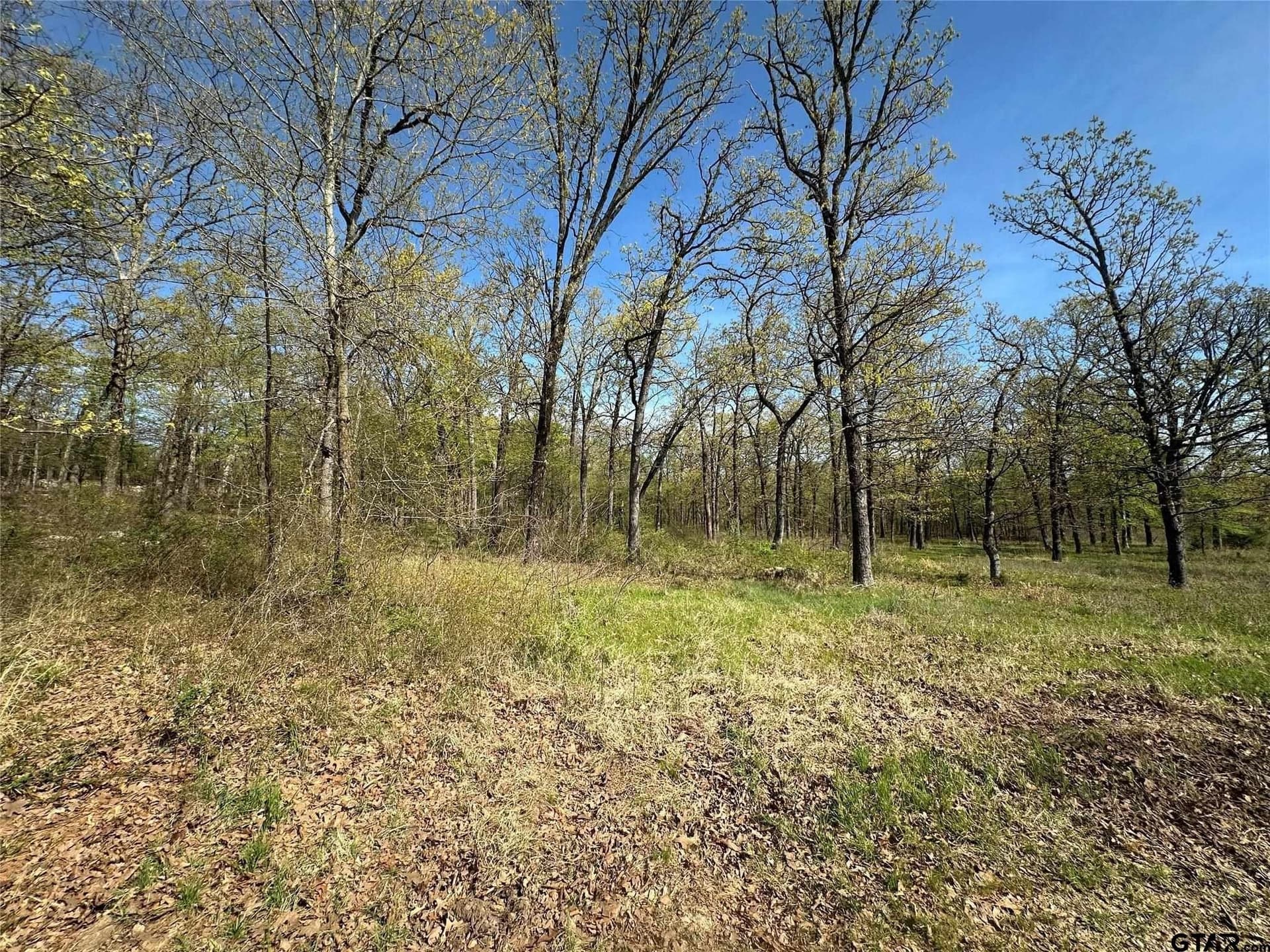 2.44 acres in Hopkins County - photo 15